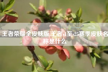 王者荣耀全皮肤版,王者s1至s25赛季皮肤名称是什么