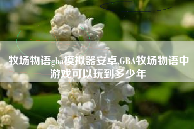 牧场物语gba模拟器安卓,GBA牧场物语中游戏可以玩到多少年