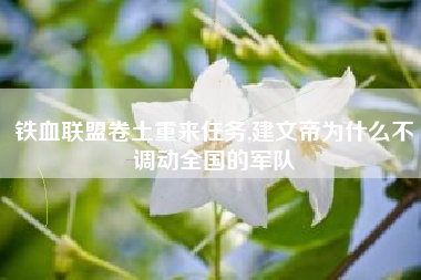 铁血联盟卷土重来任务,建文帝为什么不调动全国的军队