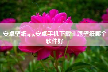 安卓壁纸app,安卓手机下载主题壁纸哪个软件好