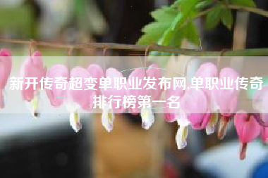 新开传奇超变单职业发布网,单职业传奇排行榜第一名