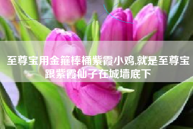 至尊宝用金箍棒桶紫霞小鸡,就是至尊宝跟紫霞仙子在城墙底下