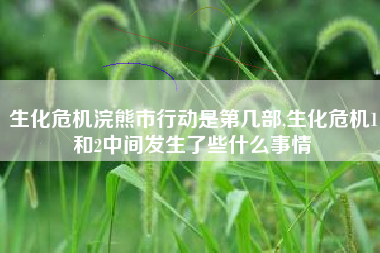 生化危机浣熊市行动是第几部,生化危机1和2中间发生了些什么事情