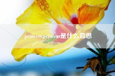 princess,princess是什么意思