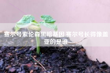 赛尔号索伦森黑暗基因,赛尔号长得像盖亚的是谁
