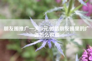 朋友圈推广一天30元,微信朋友圈里的广告怎么收费
