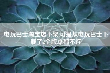 电玩巴士淘宝店下架,可是从电玩巴士下载了2个版本都不行