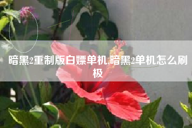 暗黑2重制版白嫖单机,暗黑2单机怎么刷极