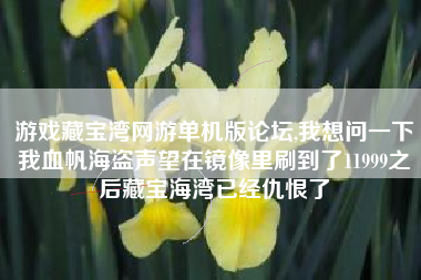 游戏藏宝湾网游单机版论坛,我想问一下我血帆海盗声望在镜像里刷到了11999之后藏宝海湾已经仇恨了