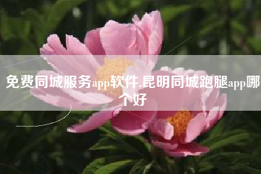 免费同城服务app软件,昆明同城跑腿app哪个好