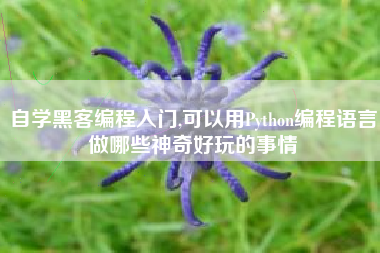 自学黑客编程入门,可以用Python编程语言做哪些神奇好玩的事情