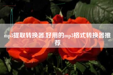 mp3提取转换器,好用的mp3格式转换器推荐