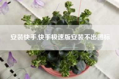 安装快手,快手极速版安装不出图标