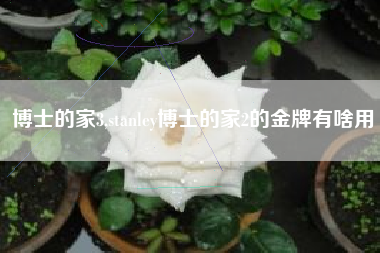 博士的家3,stanley博士的家2的金牌有啥用