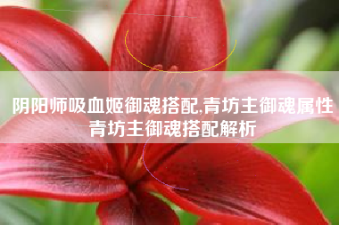 阴阳师吸血姬御魂搭配,青坊主御魂属性青坊主御魂搭配解析