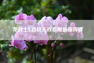 龙战士3,百战无双后期最强阵容