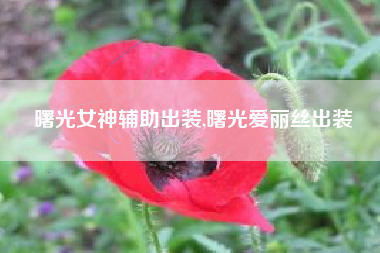 曙光女神辅助出装,曙光爱丽丝出装