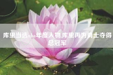 库里当选nba年度人物,库里再为勇士夺得总冠军