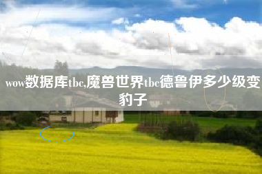 wow数据库tbc,魔兽世界tbc德鲁伊多少级变豹子