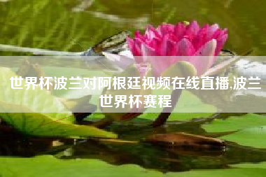 世界杯波兰对阿根廷视频在线直播,波兰世界杯赛程