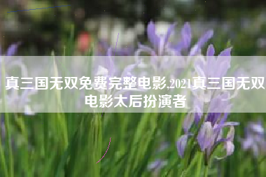 真三国无双免费完整电影,2021真三国无双电影太后扮演者