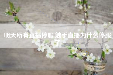 明天所有直播停服,触手直播为什么停服了