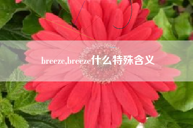 breeze,breeze什么特殊含义