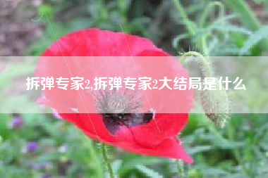 拆弹专家2,拆弹专家2大结局是什么