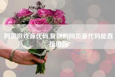 网页游戏源代码,复制的网页源代码能直接用吗
