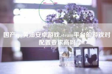 国产rpg黄油安卓游戏,steam平台的游戏对配置要求高吗