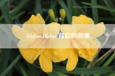 lifeline,lifeline背后的故事