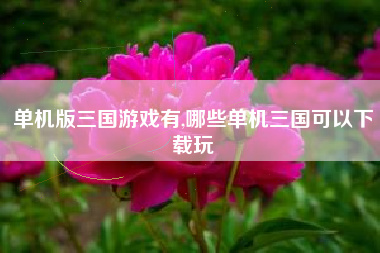 单机版三国游戏有,哪些单机三国可以下载玩