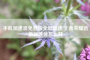 手机加速器免费版全部加速,王者荣耀迅游加速器怎么开