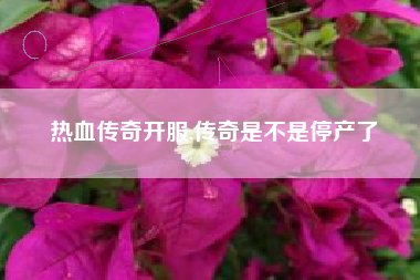 热血传奇开服,传奇是不是停产了