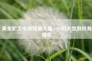 黄金矿工小游戏单人版,4399的大型游戏有哪些