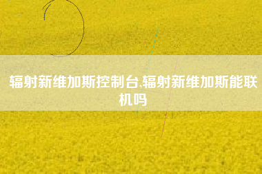 辐射新维加斯控制台,辐射新维加斯能联机吗