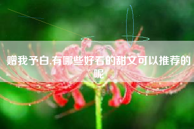 赠我予白,有哪些好看的甜文可以推荐的呢
