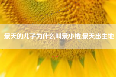 景天的儿子为什么叫景小楼,景天出生地