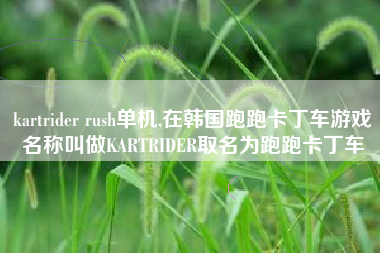 kartrider rush单机,在韩国跑跑卡丁车游戏名称叫做KARTRIDER取名为跑跑卡丁车