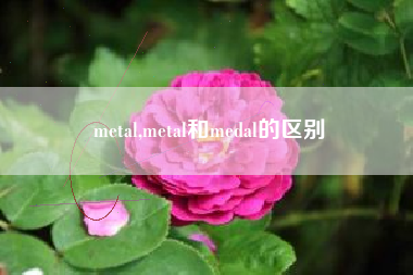 metal,metal和medal的区别