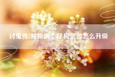 讨鬼传2和极哪个好,极武器怎么升级