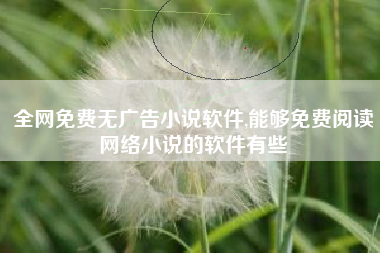 全网免费无广告小说软件,能够免费阅读网络小说的软件有些