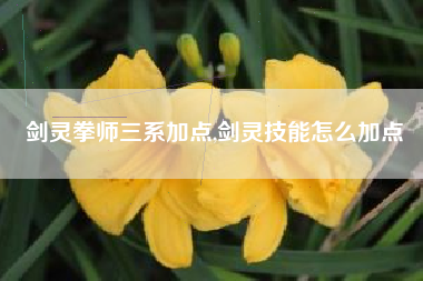 剑灵拳师三系加点,剑灵技能怎么加点