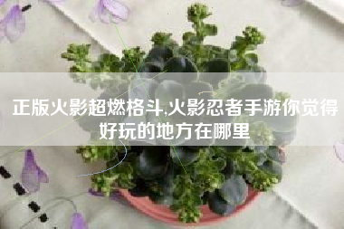 正版火影超燃格斗,火影忍者手游你觉得好玩的地方在哪里