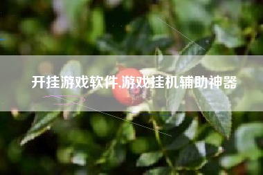 开挂游戏软件,游戏挂机辅助神器