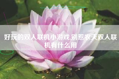 好玩的双人联机小游戏,别惹农夫双人联机有什么用