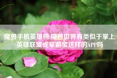 魔兽手机英雄榜,魔兽世界有类似于掌上英雄联盟或掌游宝这样的APP吗