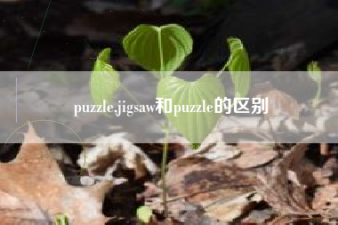 puzzle,jigsaw和puzzle的区别