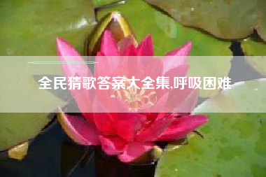 全民猜歌答案大全集,呼吸困难