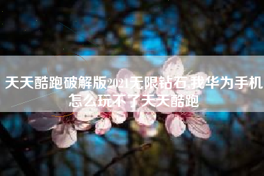 天天酷跑破解版2021无限钻石,我华为手机怎么玩不了天天酷跑